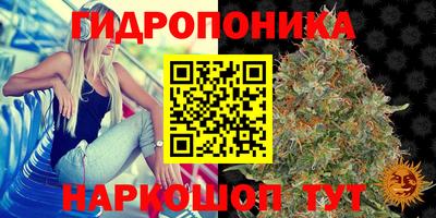 экстази Малгобек