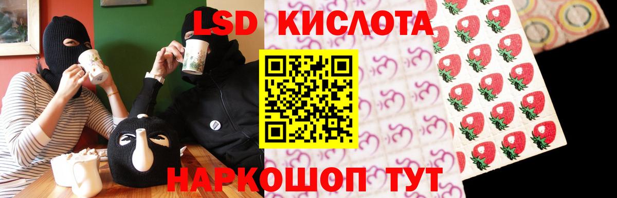МЕФ Елизово