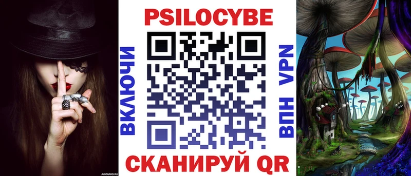 кракен tor  Елизово  Псилоцибиновые грибы Psilocybe  даркнет сайт 