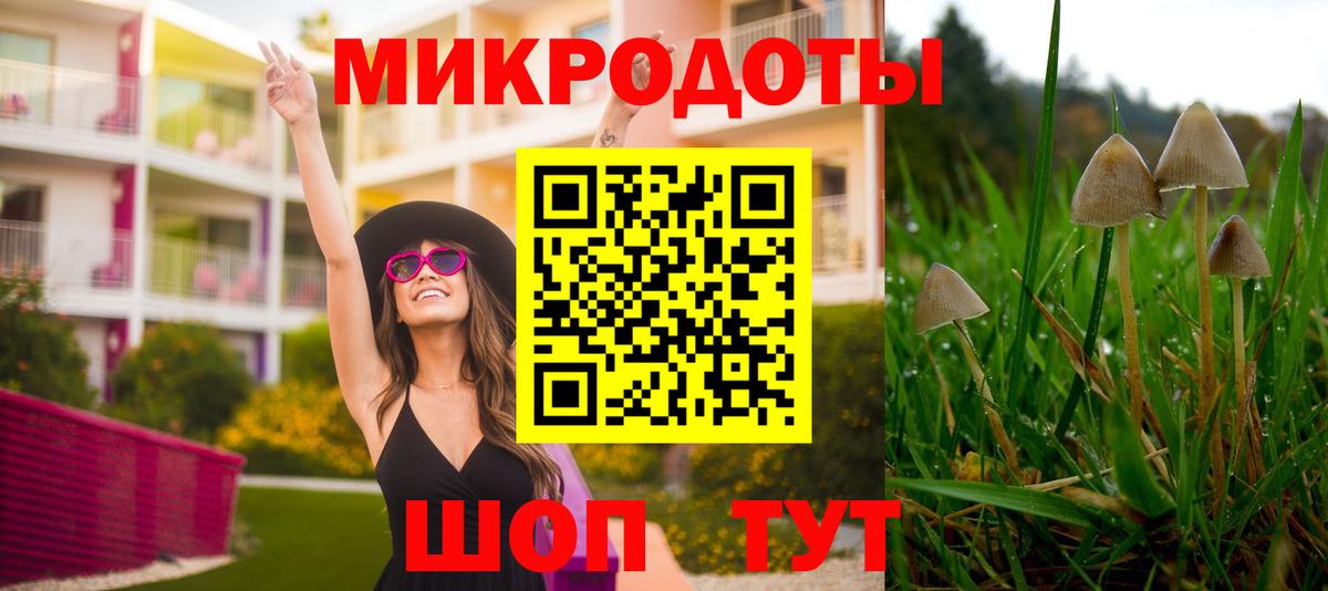 Псилоцибиновые грибы прущие грибы  Вход с VPN  Елизово 